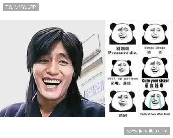 熊猫姚明脸的独特魅力揭秘与文化意义探讨