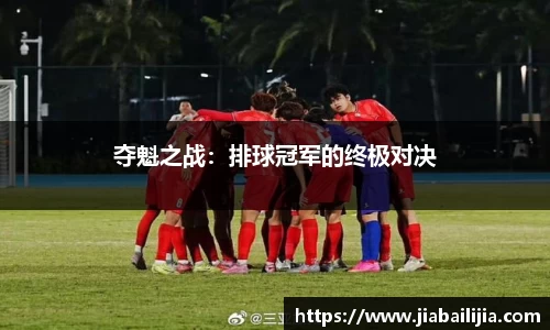 夺魁之战：排球冠军的终极对决